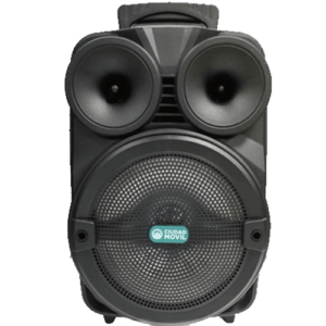 Parlante 8 Pulgadas Bluetooth